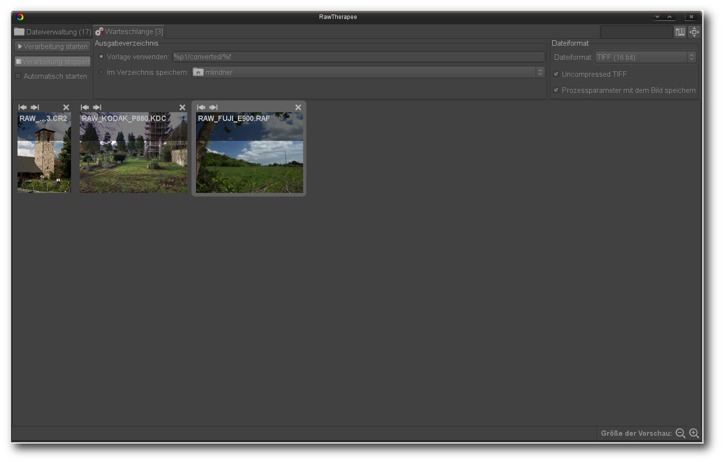 raw_31_rawtherapee-warteschlange.jpg