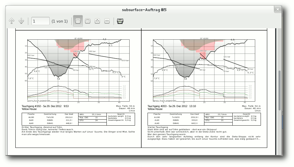 subsurface_export_window.png