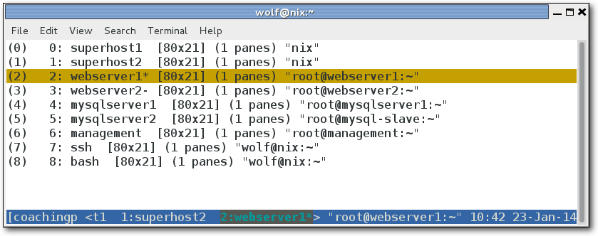 tmux_session_windows.png