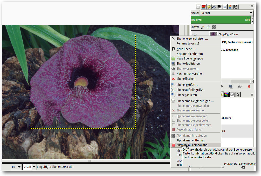 gimp3_auswahl-aus-alpha.jpg